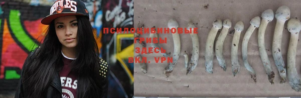 МДПВ Гусь-Хрустальный